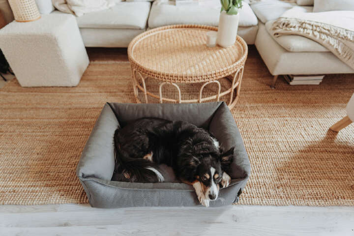 HUNTER Orthopädisches Hundesofa Merida